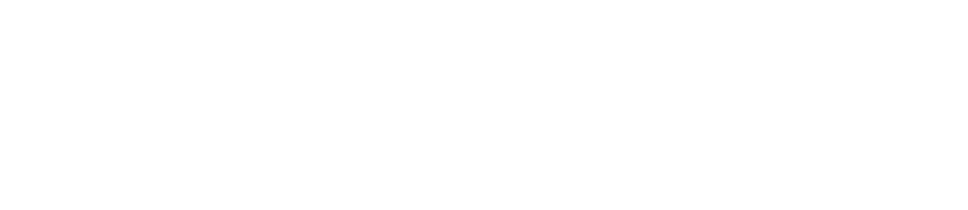 Website Design & SEO Agency in Melbourne - Ronin Media